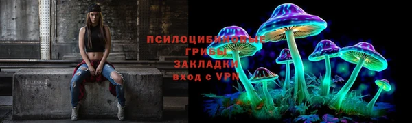 мяу мяу мука Армянск