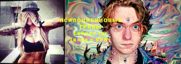 герыч Алзамай