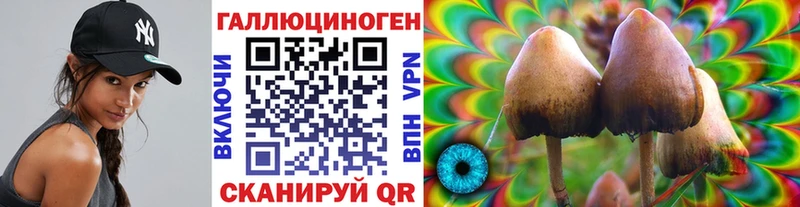 MEGA ТОР  Похвистнево  Псилоцибиновые грибы прущие грибы 